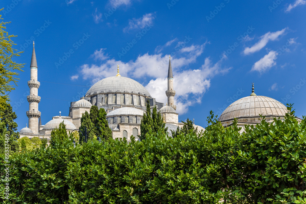 Obraz premium Istanbul, Turkey. View Suleymaniye Mosque and ancillary buildings, 1557