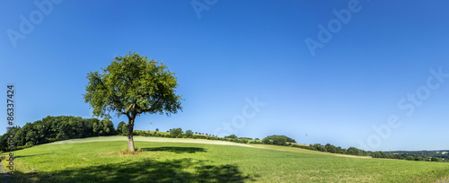 rural landscape with fields and blue sky
