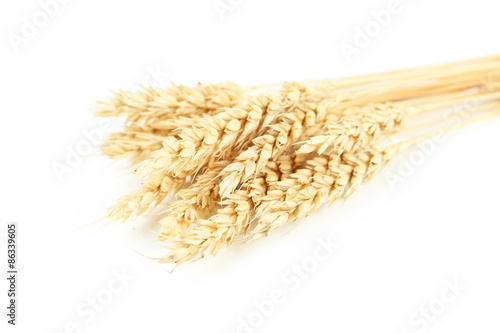 Ears of wheat isolated on white