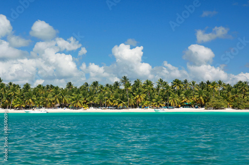 Palms coastline on caribbean sea