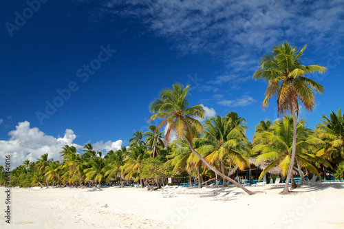 Palms on caribbean sea © photopixel