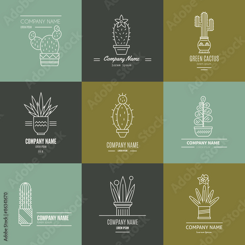 Succulent Logotypes
