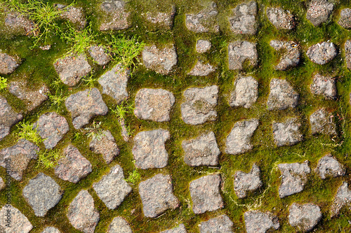 Old stone pavement with sprouting moss texture