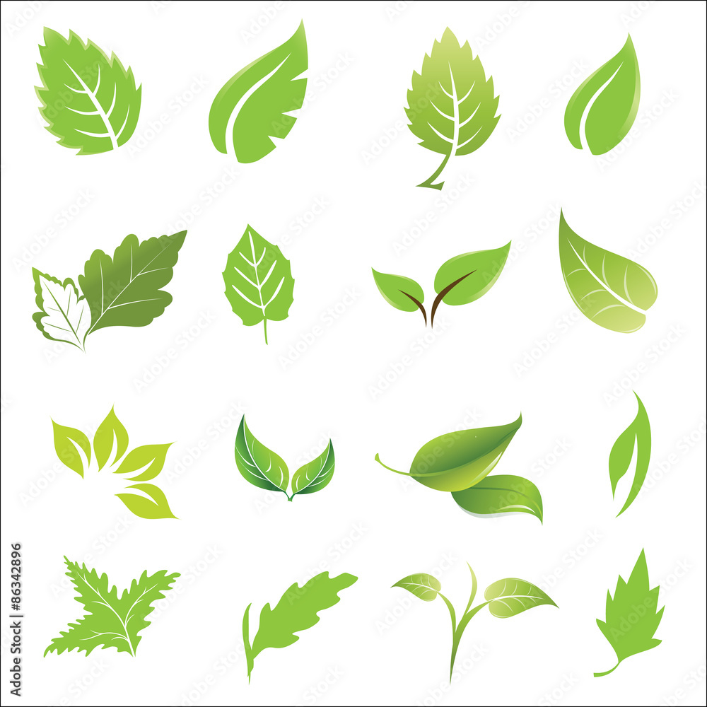 green leaves design elements icon set vector illustration. green leaves design elements icon set vector illustration.
