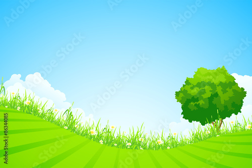 Green landscape