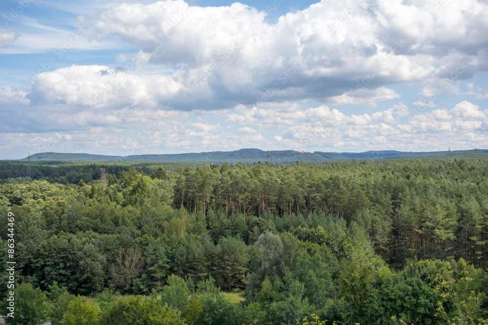 Obraz premium Forest near Brombachsee