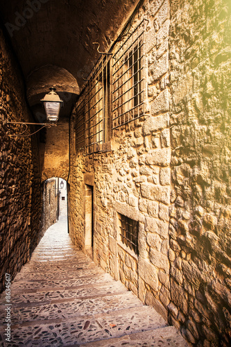 Fototapeta Naklejka Na Ścianę i Meble -  Girona jewish backstreet vertical