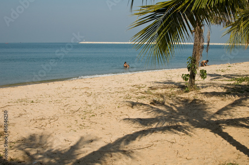 Fototapeta Naklejka Na Ścianę i Meble -  Beach at Sattaheep (Thailand)