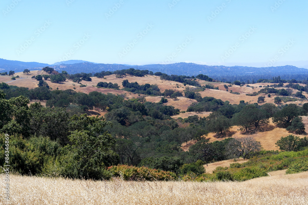Fototapeta premium A green, dry landscape with hills and mountains