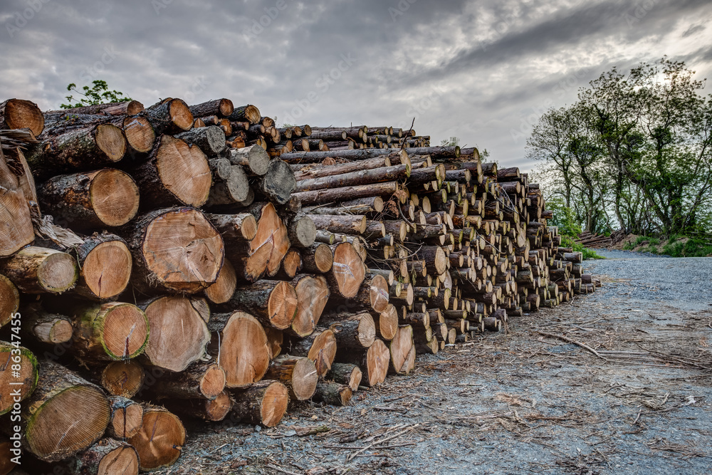 Forest Clearance