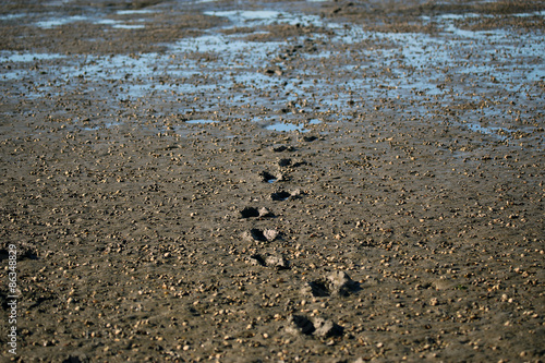 Footprints in wet sand