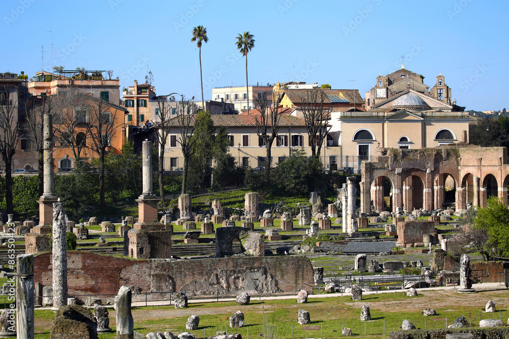The Roman Forum ruins in Rome, Italy
