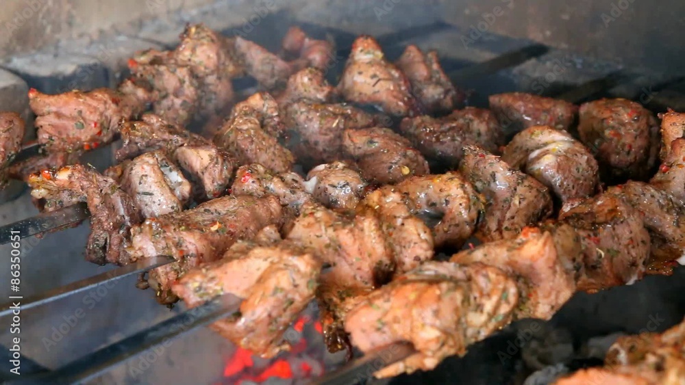 Fresh Meat Cooking Over an Open Fire. Barbecue on Picnic Fresh Meat Cooking Over an Open Fire. Barbecue on Picnic