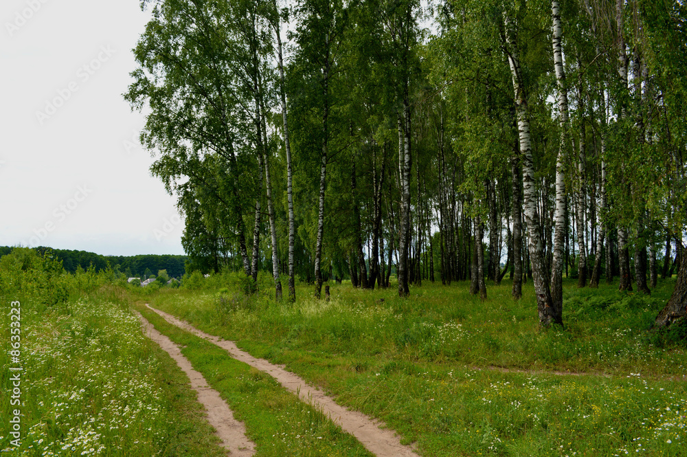 Obraz premium Весна на брянщине