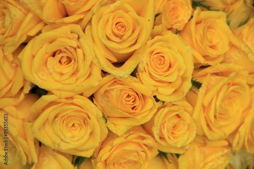 Yellow wedding roses
