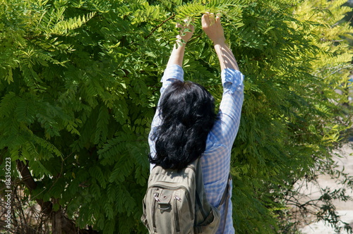 Giovane donna mentre sradica rami da un albero photo