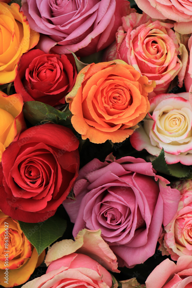Multicolored wedding roses Multicolored wedding roses