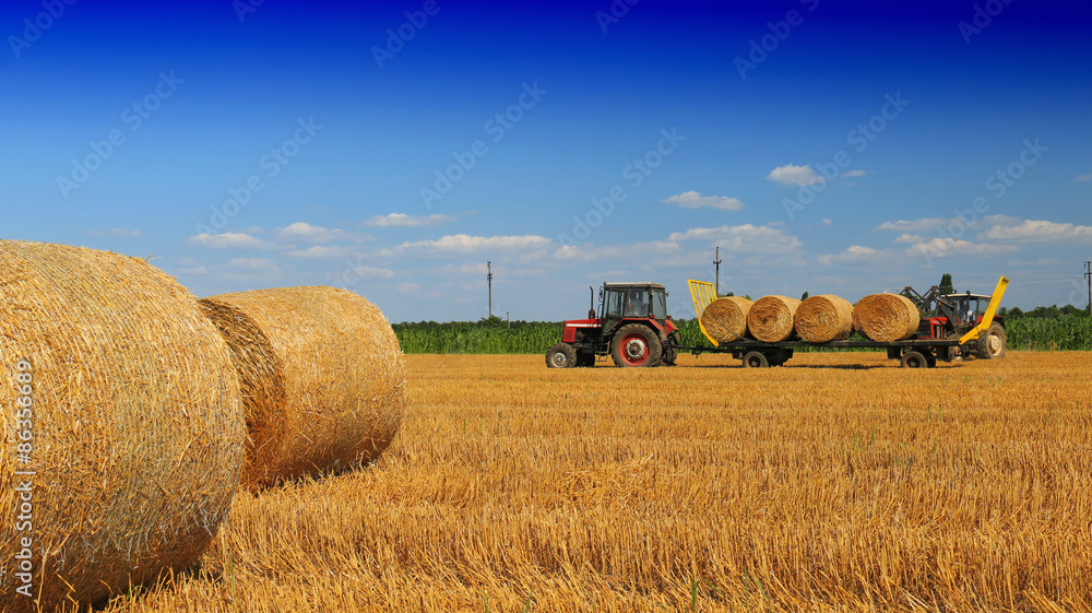 Tractor collecting straw bales