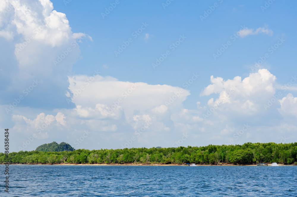 Forest on sea and White cloud on blue sky