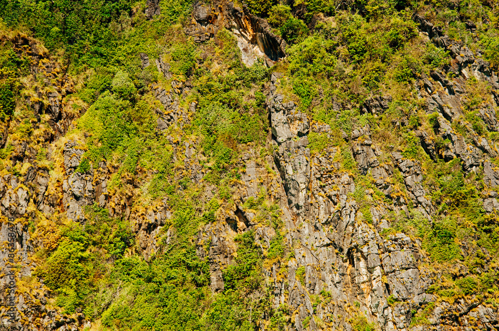 Obraz premium Green mountain