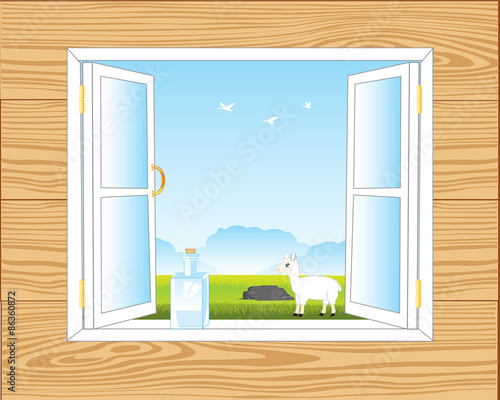 Window in room