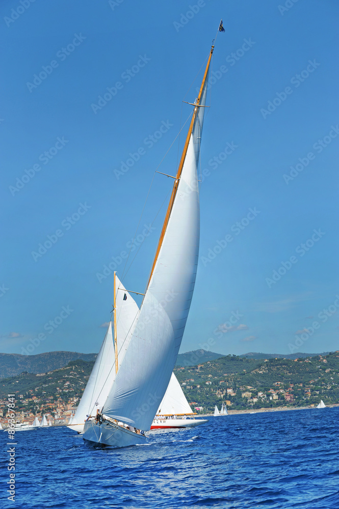 Fototapeta premium Regata