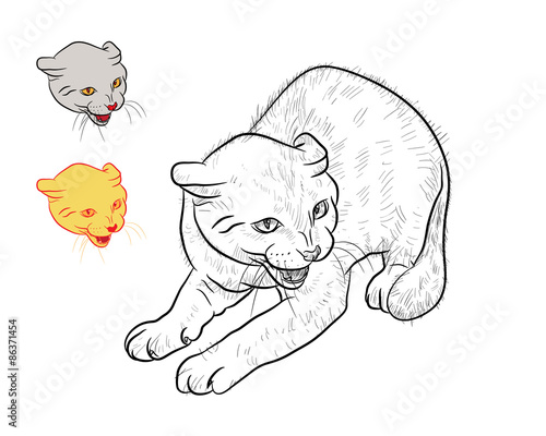 Drawing of threaten cat