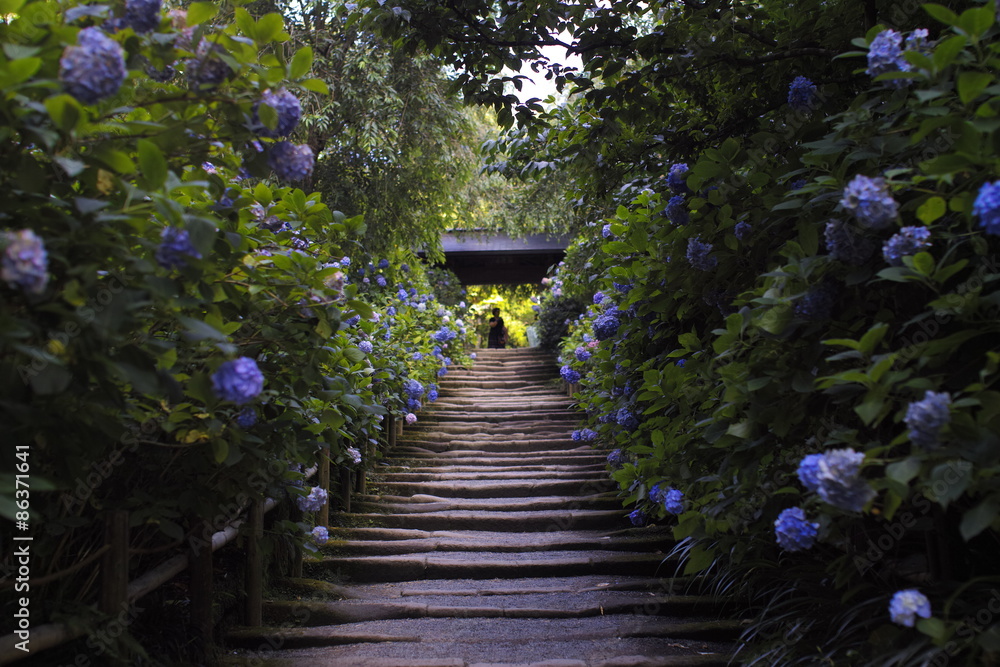 Meigetsuin Temple 8