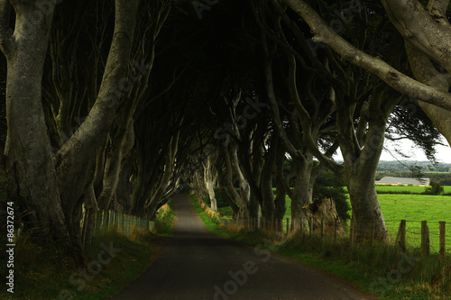 Dark hedges (Northern Ireland)
Game of Thrones film location