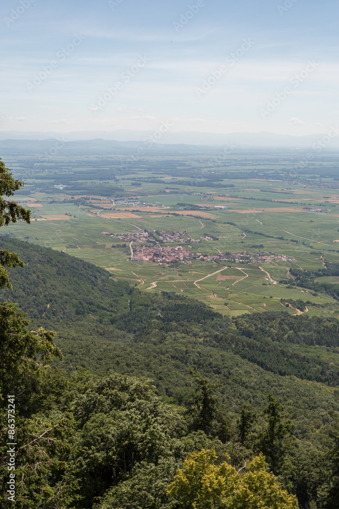 Fototapeta premium Vue sur la plaine d'Alsace