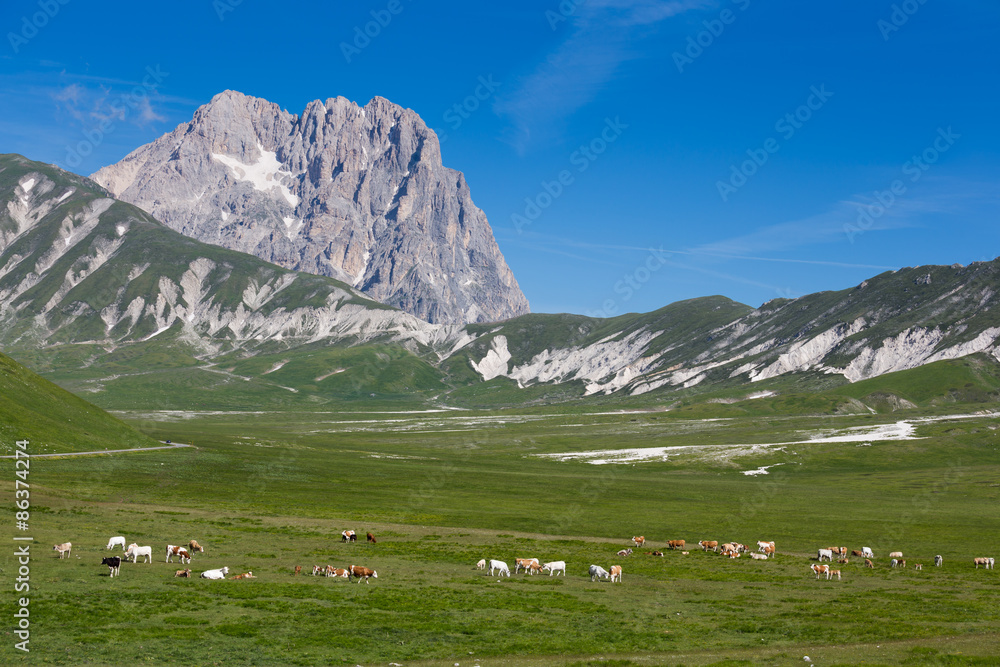 Fototapeta premium Abruzzo, Gran Sasso
