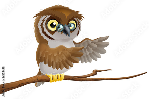Cartoon owl wearing glasses
