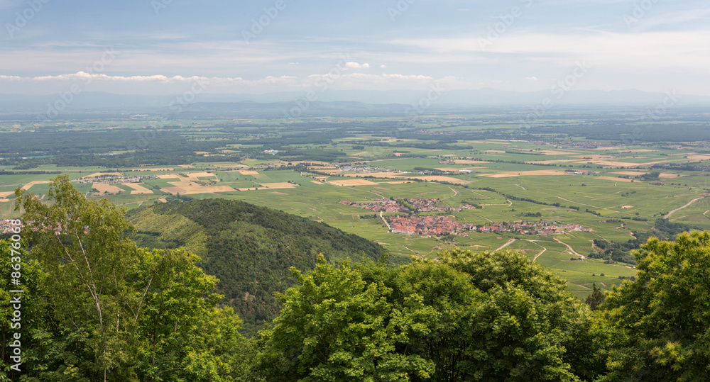Obraz premium Vue sur la plaine d'Alsace