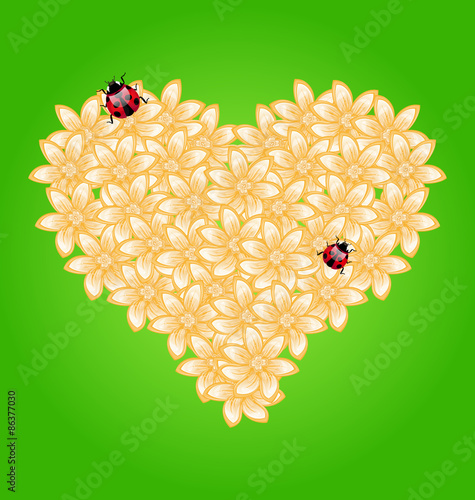 Romantic heart flowers and ladybug