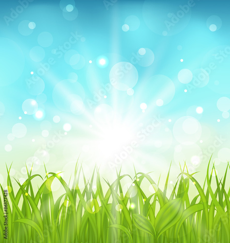 Spring nature background with grass
