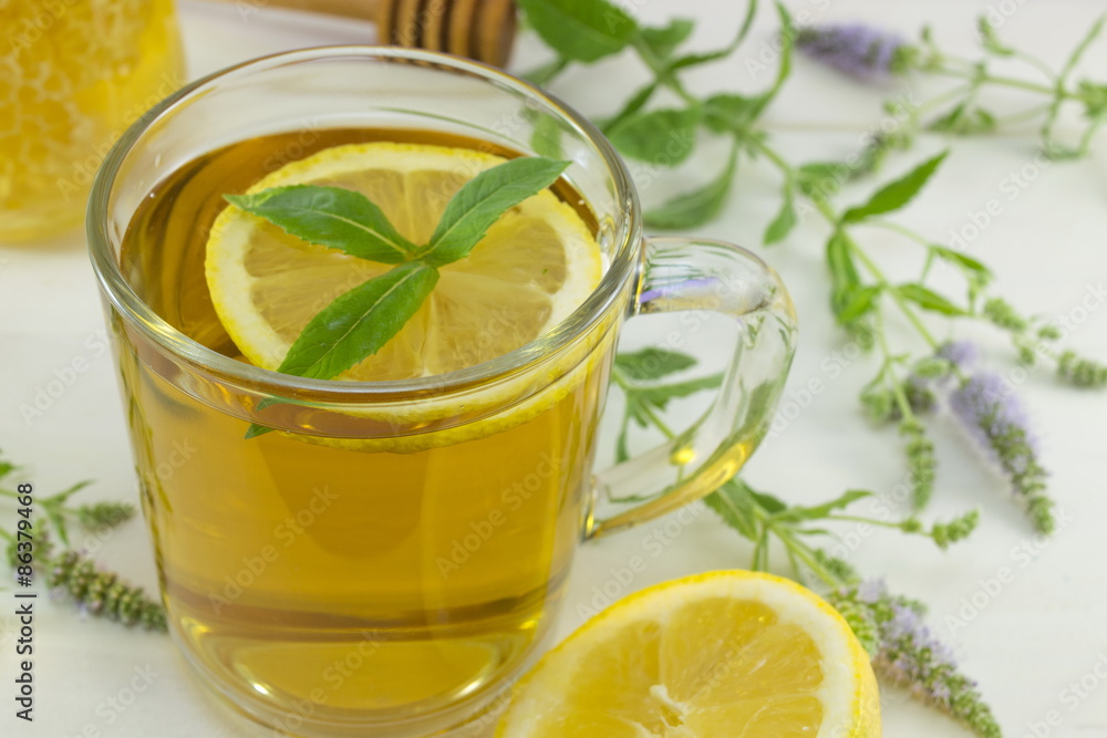 Cold mint tea with lemon on a table with mint plant, honey,dippe Cold mint tea with lemon on a table with mint plant, honey,dippe