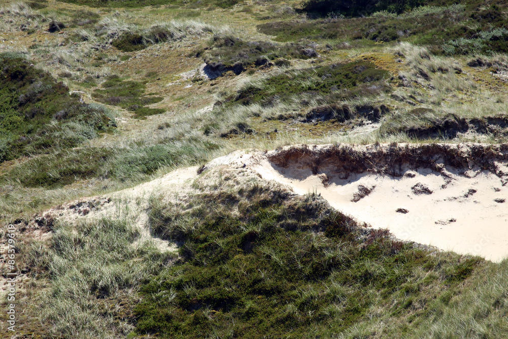 Aerial view of sand dune on Amrum