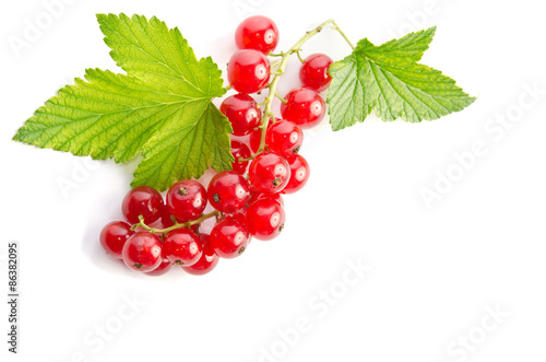 Sprig of red currants isolated on white background
