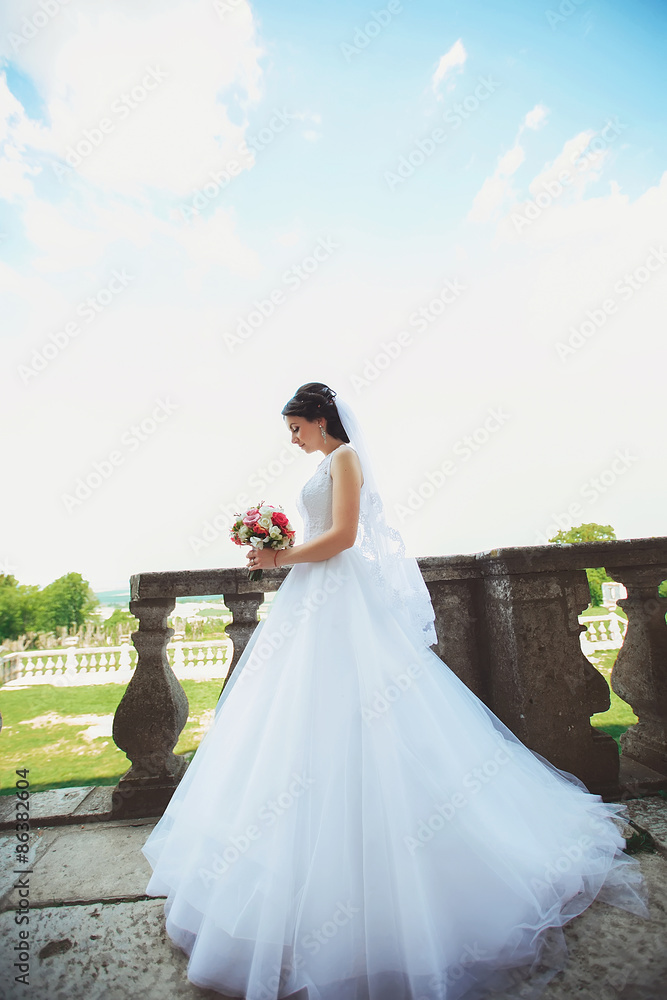 beautiful elegant bride with темним hair posing at the bal