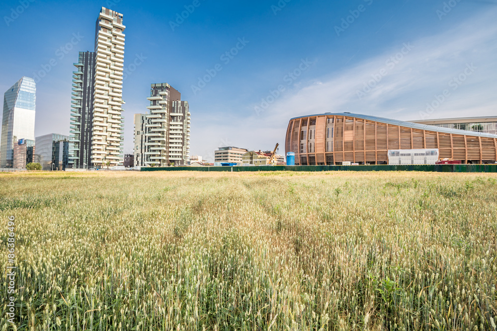 Wheatfield land in Milan