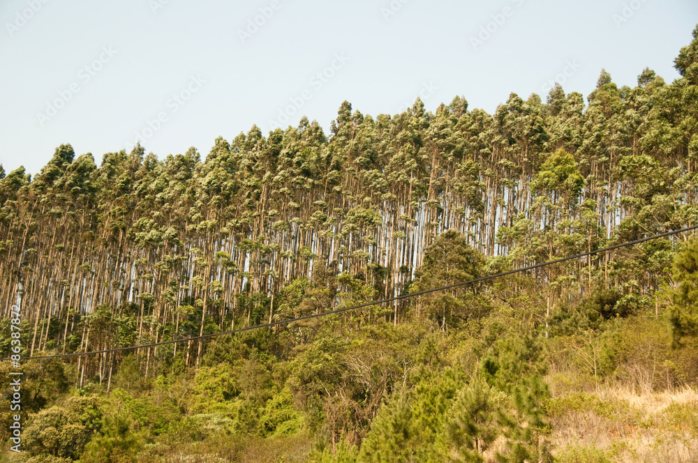 Obraz premium Ponta Grossa, Paraná