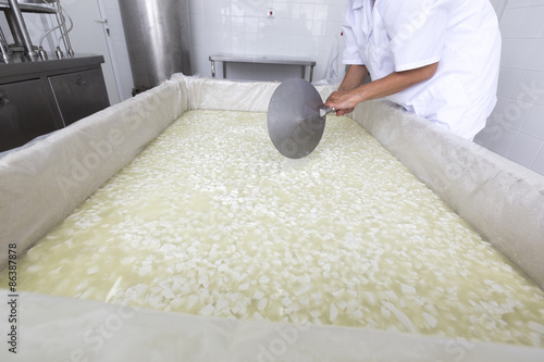 Cheese worker over tank in a diary creamery photo