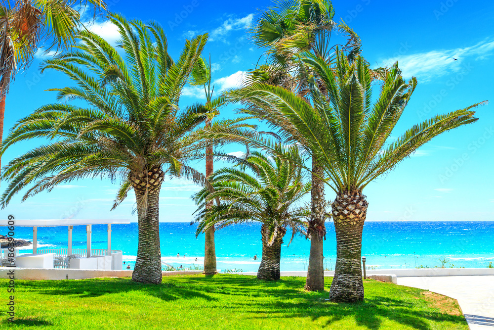 A view of a azzure water and entrance to the beach with palms A view of a azzure water and entrance to the beach with palms