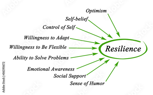 Diagram of Resilience photo