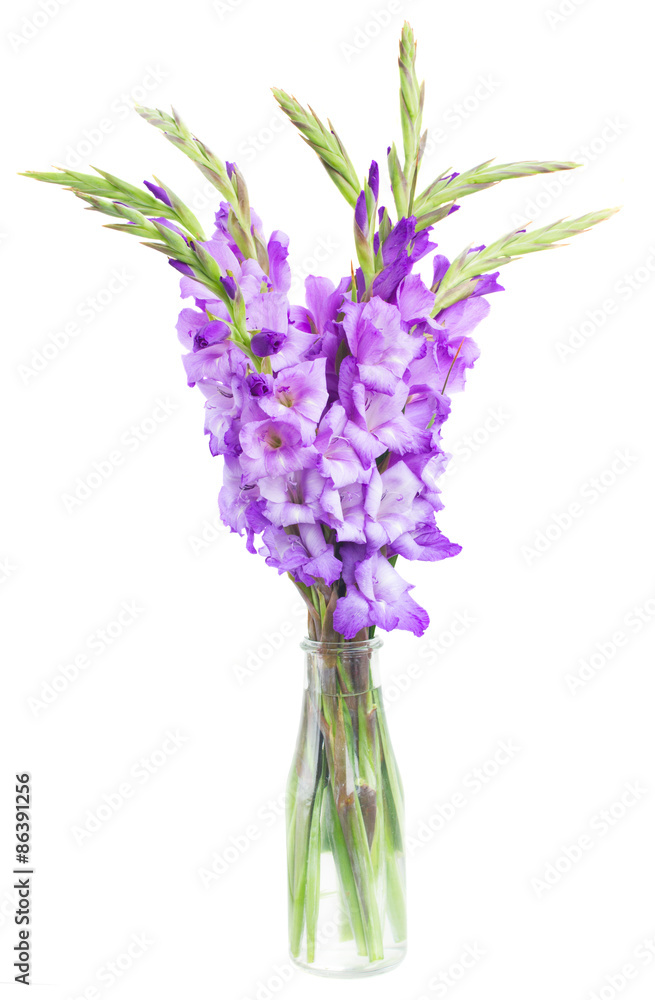 Naklejka premium bouquet of gladiolus flowers