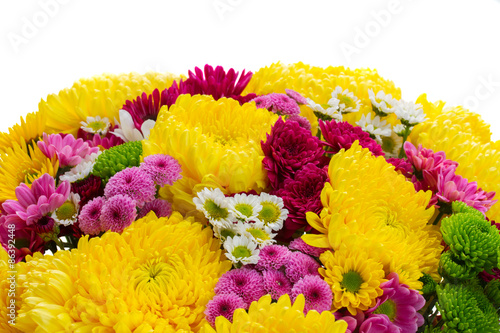 Yellow, red and pink  mum flowers photo