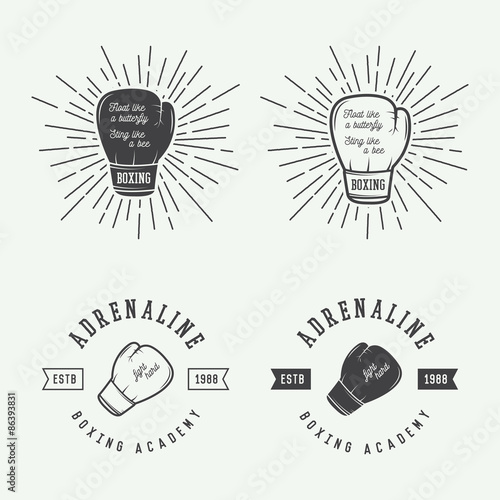 Boxing and martial arts logo badges and labels in vintage style. Vector illustration