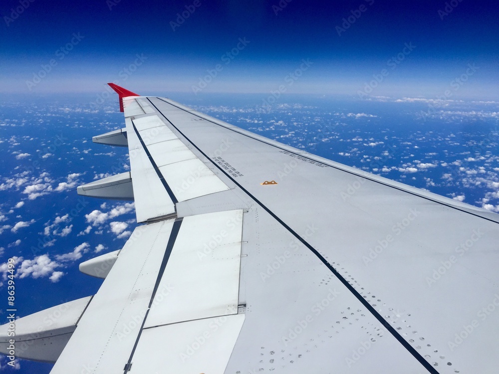 fly fly