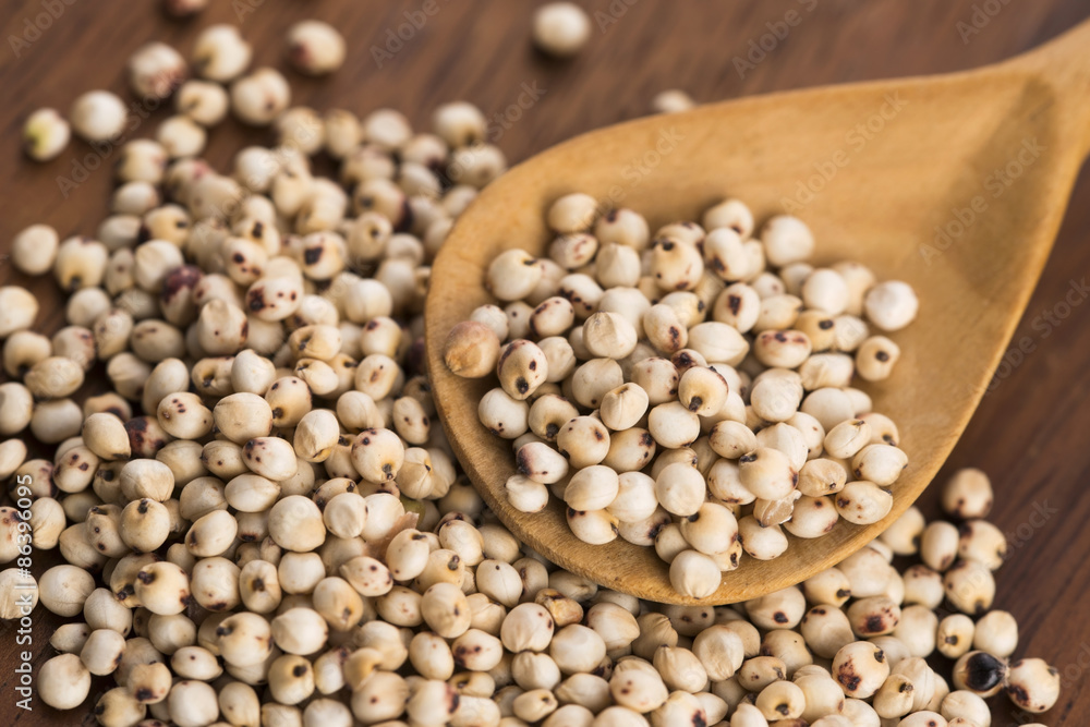 Sorghum, rice Sorghum, rice