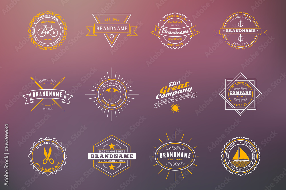 Set of Hipster Vintage Labels, Logotypes, Badges. Thin Line Design Templates on blurred background